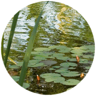 Ferienwohnung Siemen, Wendland